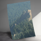 448af944-beb5-4b98-a327-c7c9bb264caf