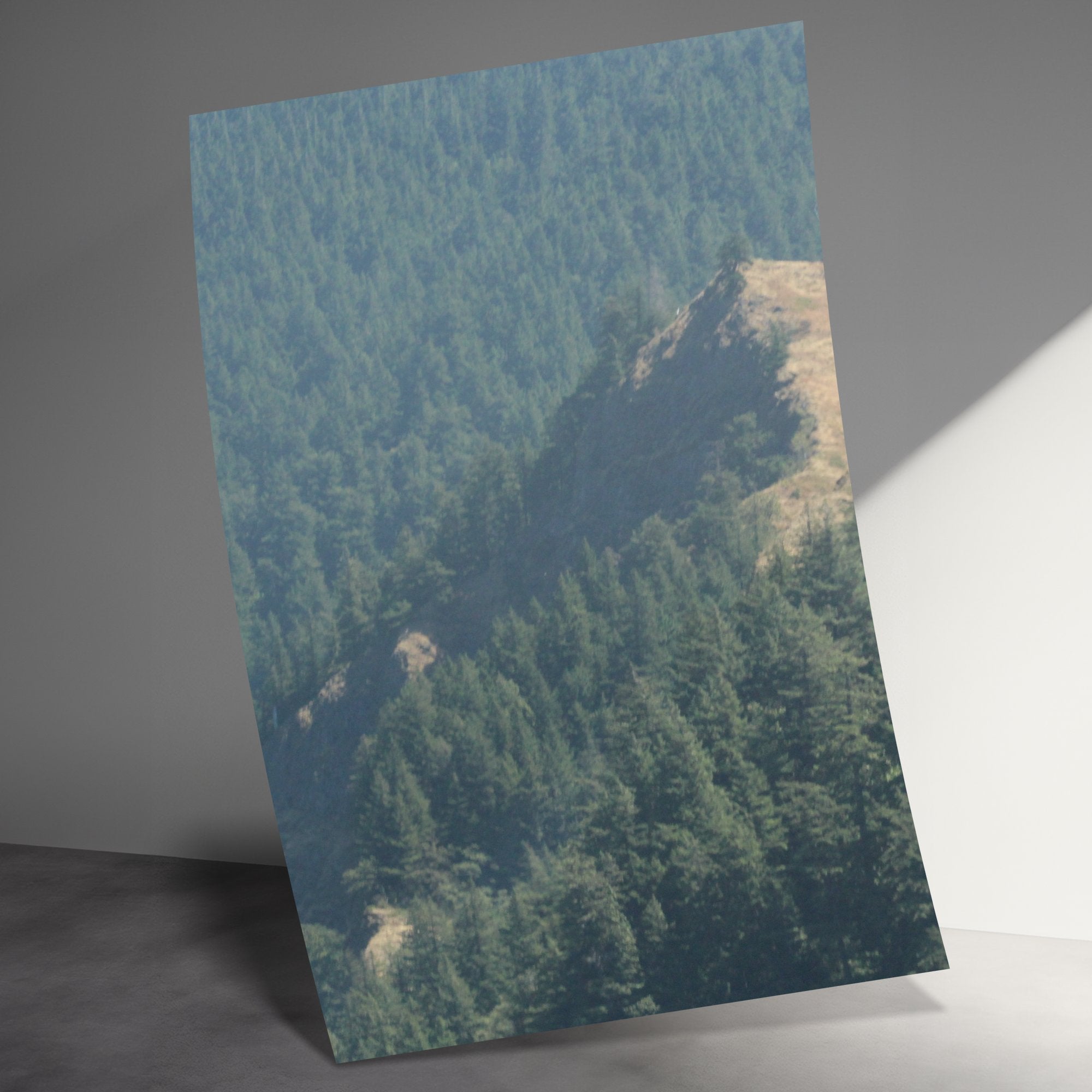 448af944-beb5-4b98-a327-c7c9bb264caf