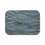 Seal Swimming in Blue Ocean Water Wall Art Print