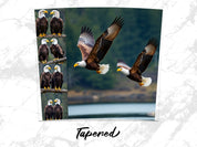 455b0ec8-8470-43e8-b6b0-fcbf0931ece7