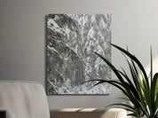 456ac4d4-bbc5-427d-892a-9beb361dc0fb