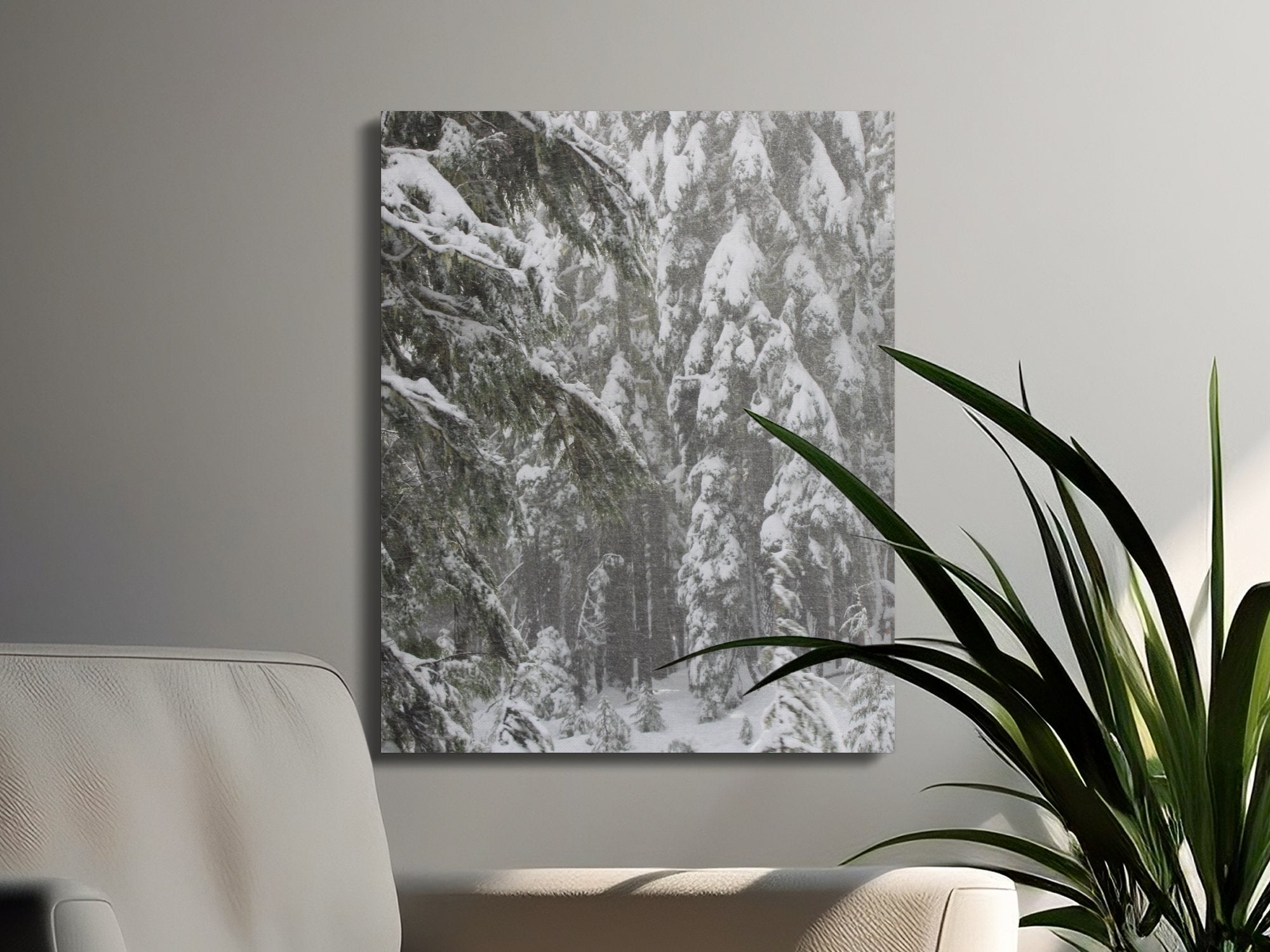 456ac4d4-bbc5-427d-892a-9beb361dc0fb