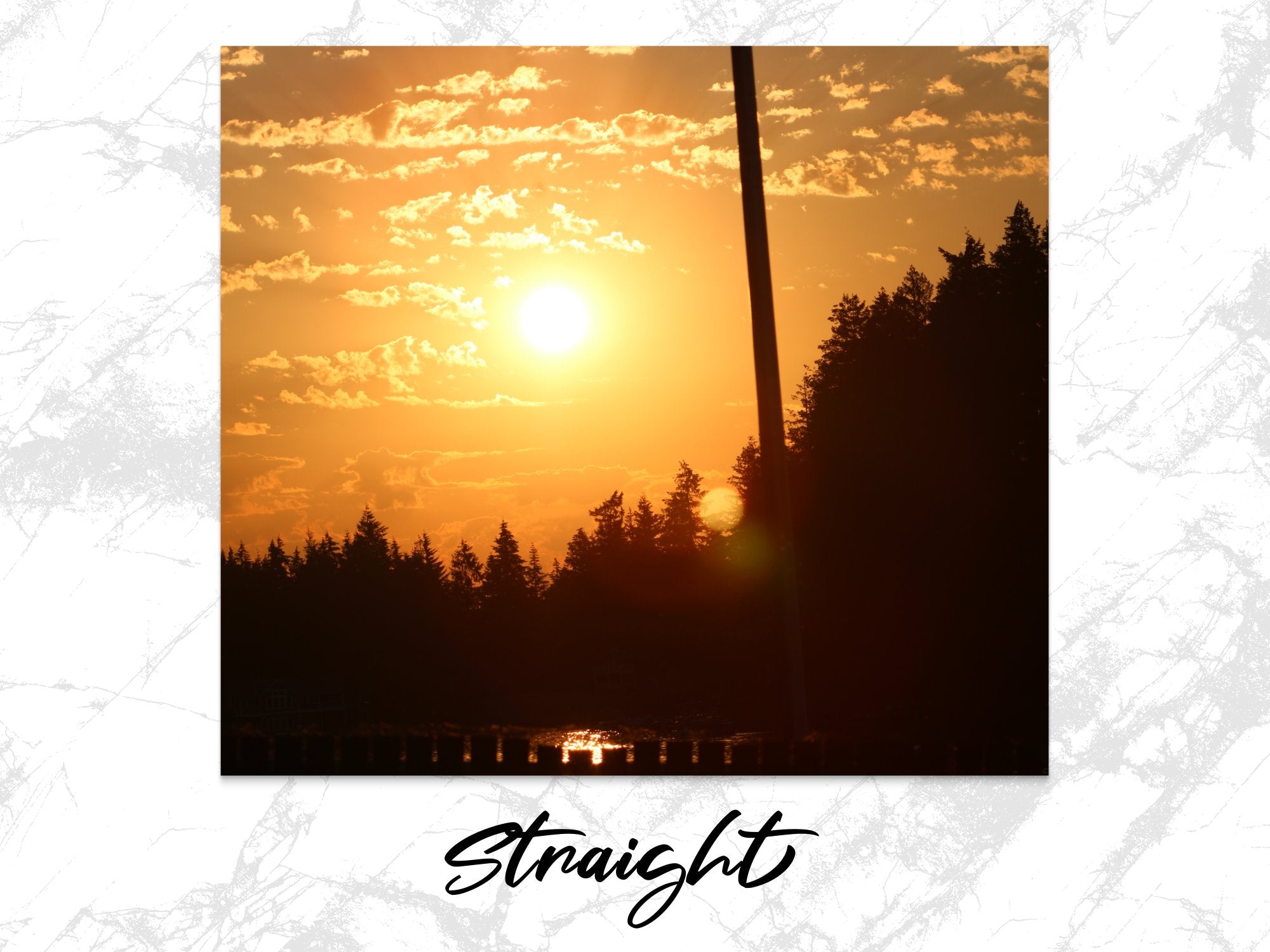 45bc3ae1-7f39-4be8-b2ad-3d3b6cd77969