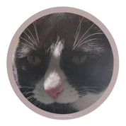 45e6b65d-c1c8-4bfa-b264-fcdf6c49f9d5