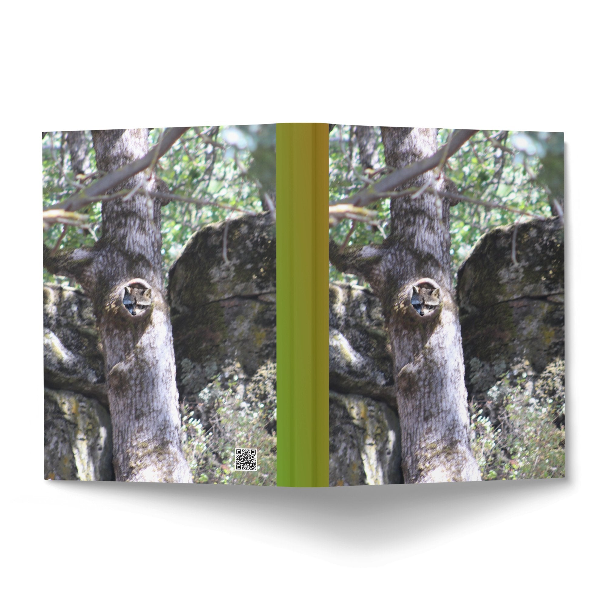 45fdc674-9592-40a0-933c-0a52abe33109