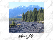 46324220-48ea-4e53-be0c-0fdd480d0fba