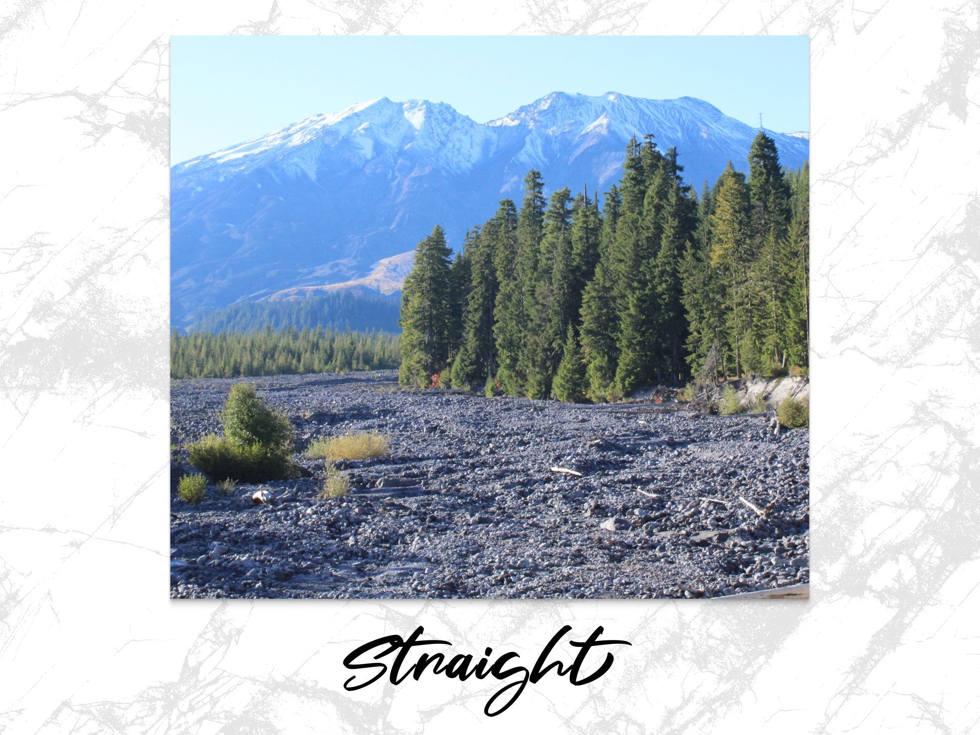 46324220-48ea-4e53-be0c-0fdd480d0fba