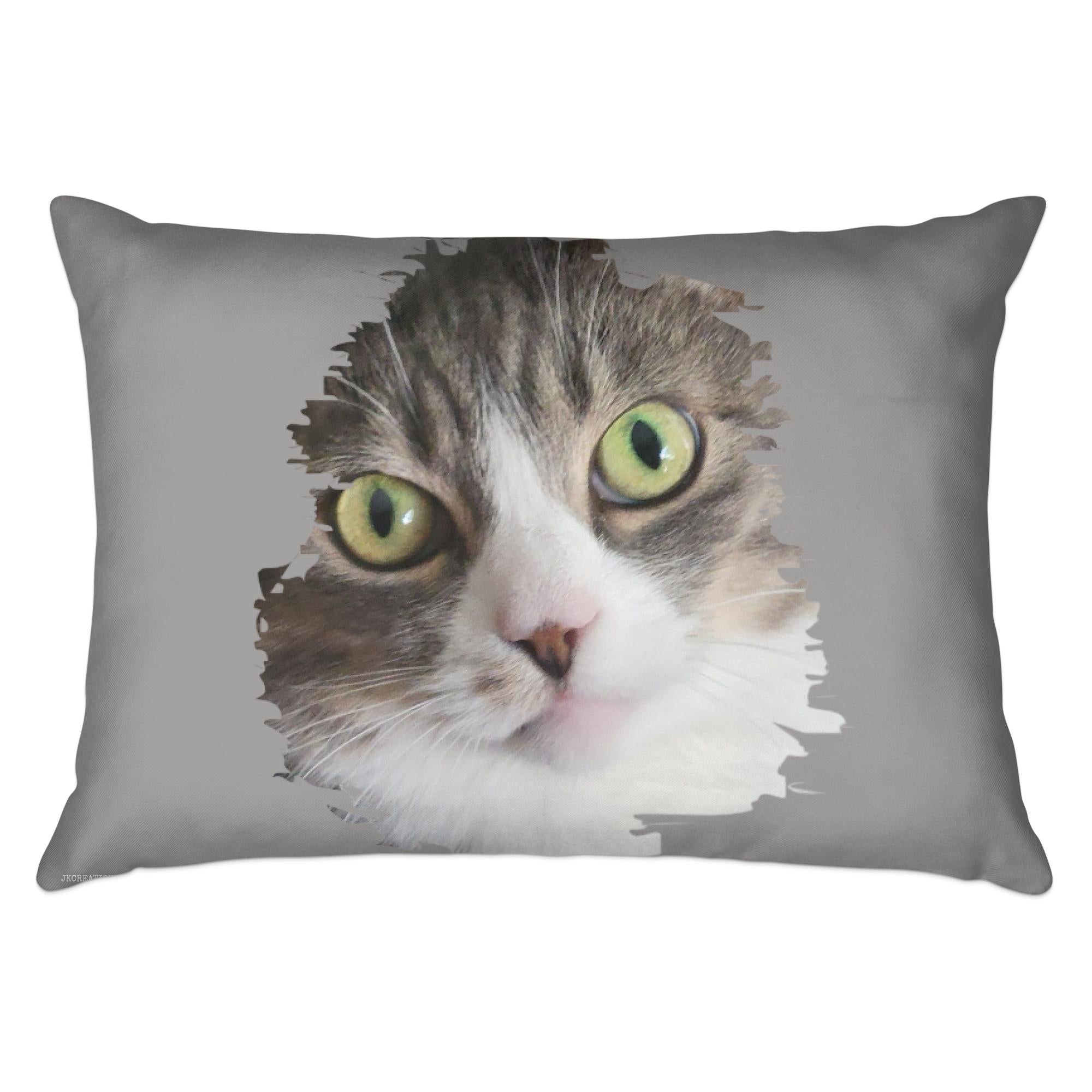 4648443a-4013-4d3c-99c8-882f095fa526