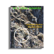 Mt St. Helens Washington Potassium Sulfate Volcanic Sulfer product