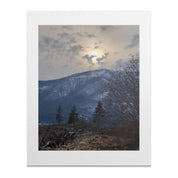 46f6afab-fb0d-48bd-aa44-c32b578b22d9