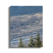 4701fa55-d490-4b27-800c-1c24d9f255fd