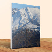 471f10d8-8aaa-4c95-a10e-7436645daeff