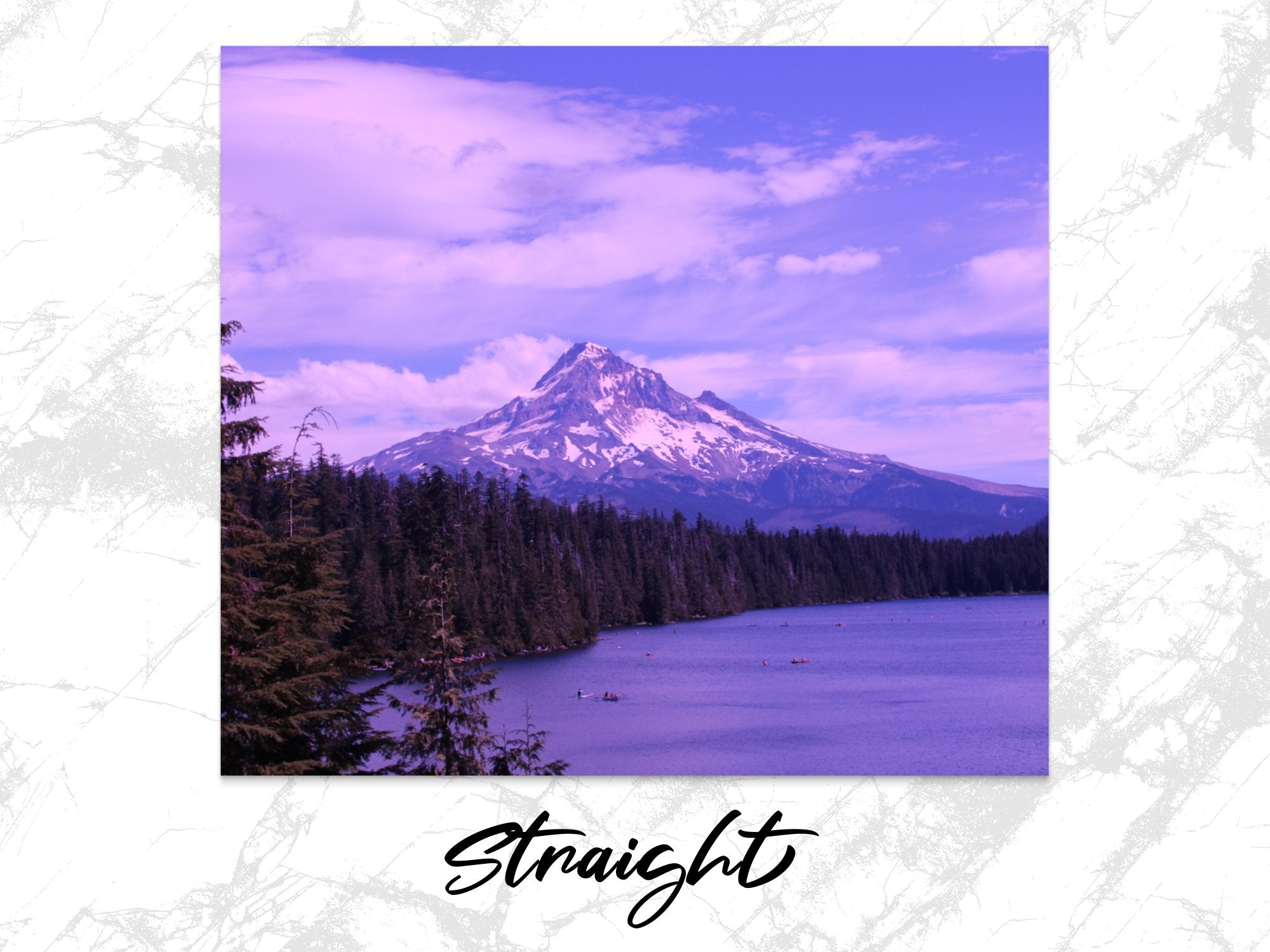 477c2010-00cd-4c42-8623-6249470f9bdc