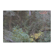 Mt St Helens Washington Scenic Wall Art  product