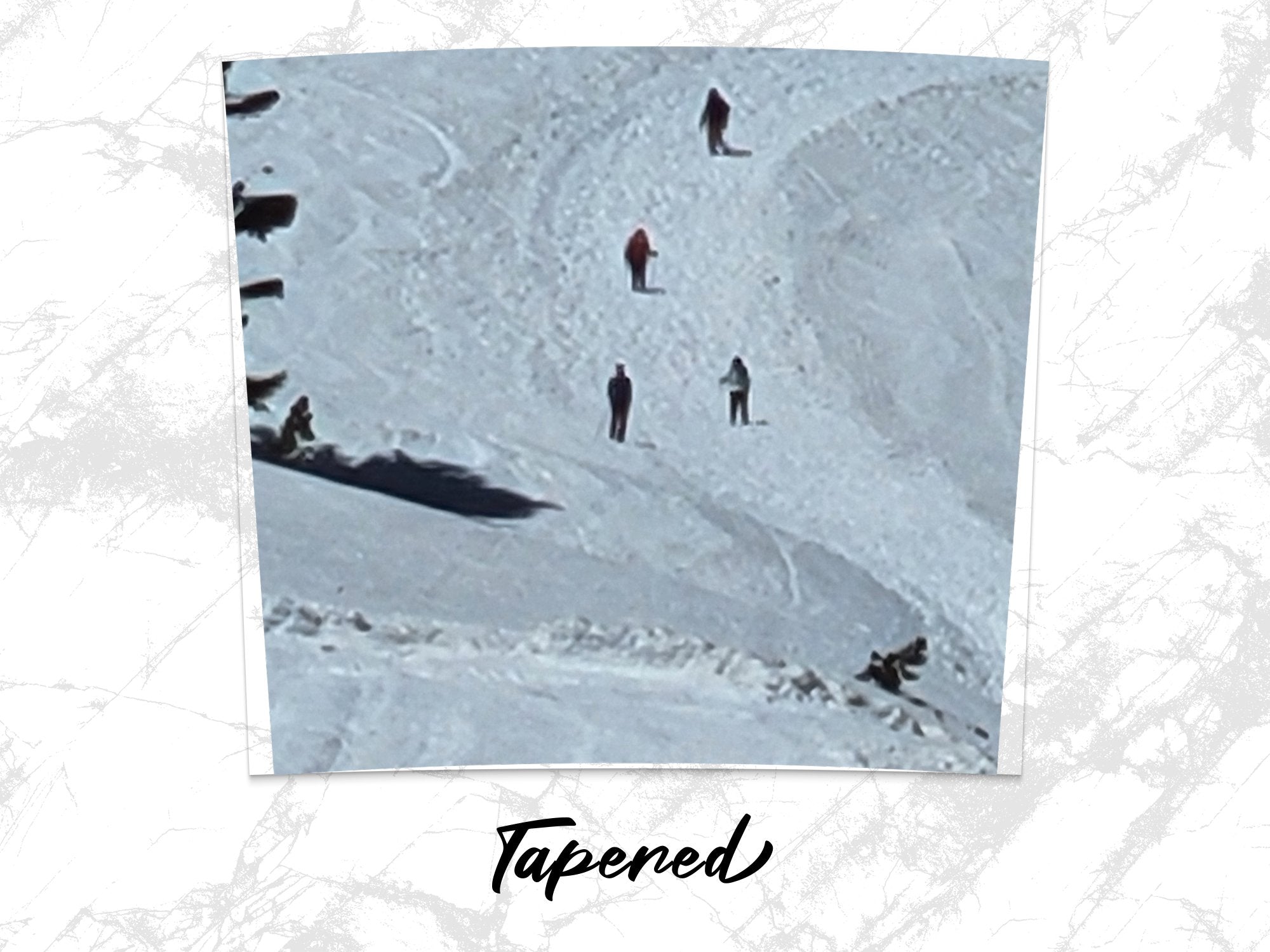 47a44713-1f1e-4e70-a6f1-c27b780ca80b