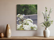 Beautiful Blossoming White Flowers Canvas Wall Art product
