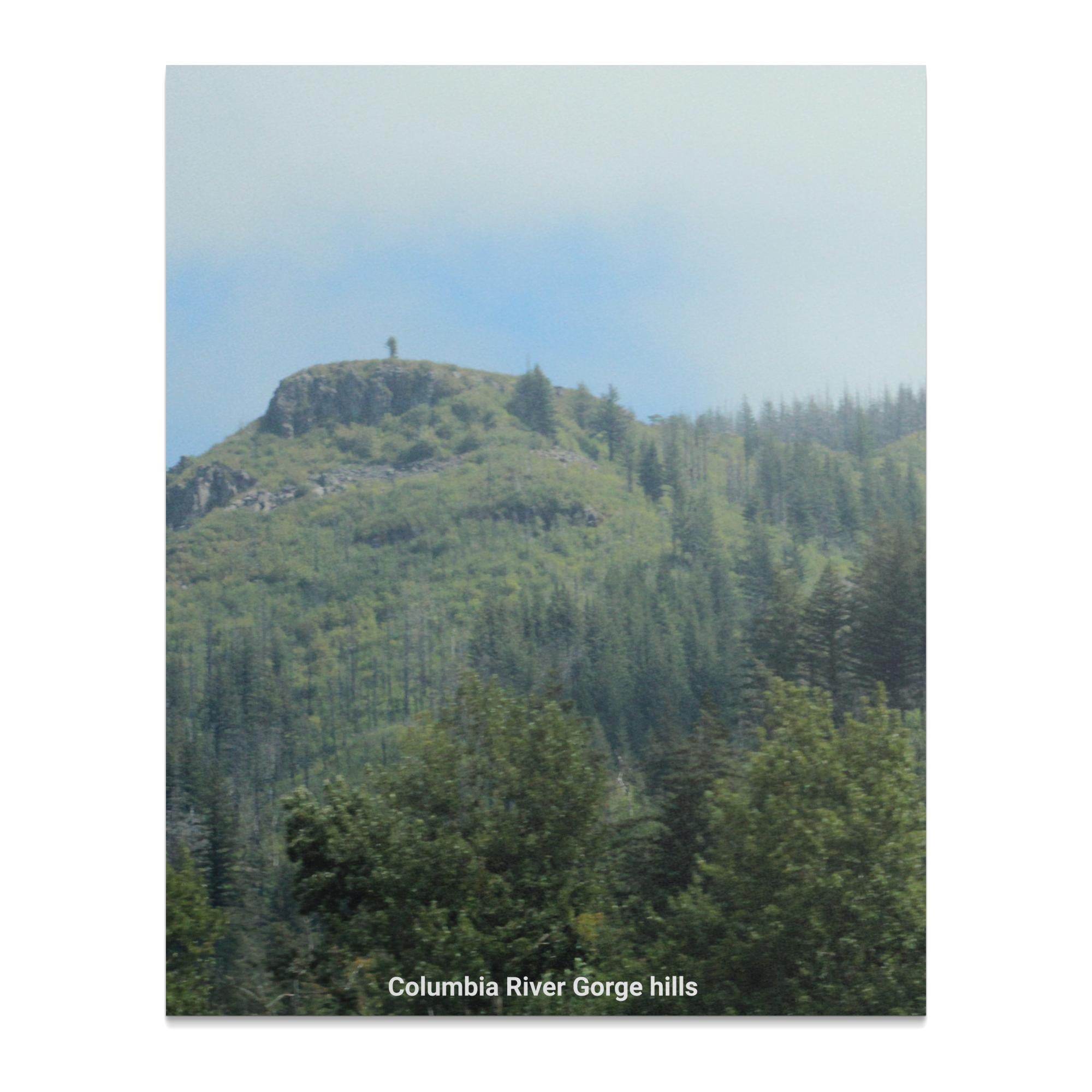 484c876e-d355-4c7b-9b9e-2f801a2ca7d8