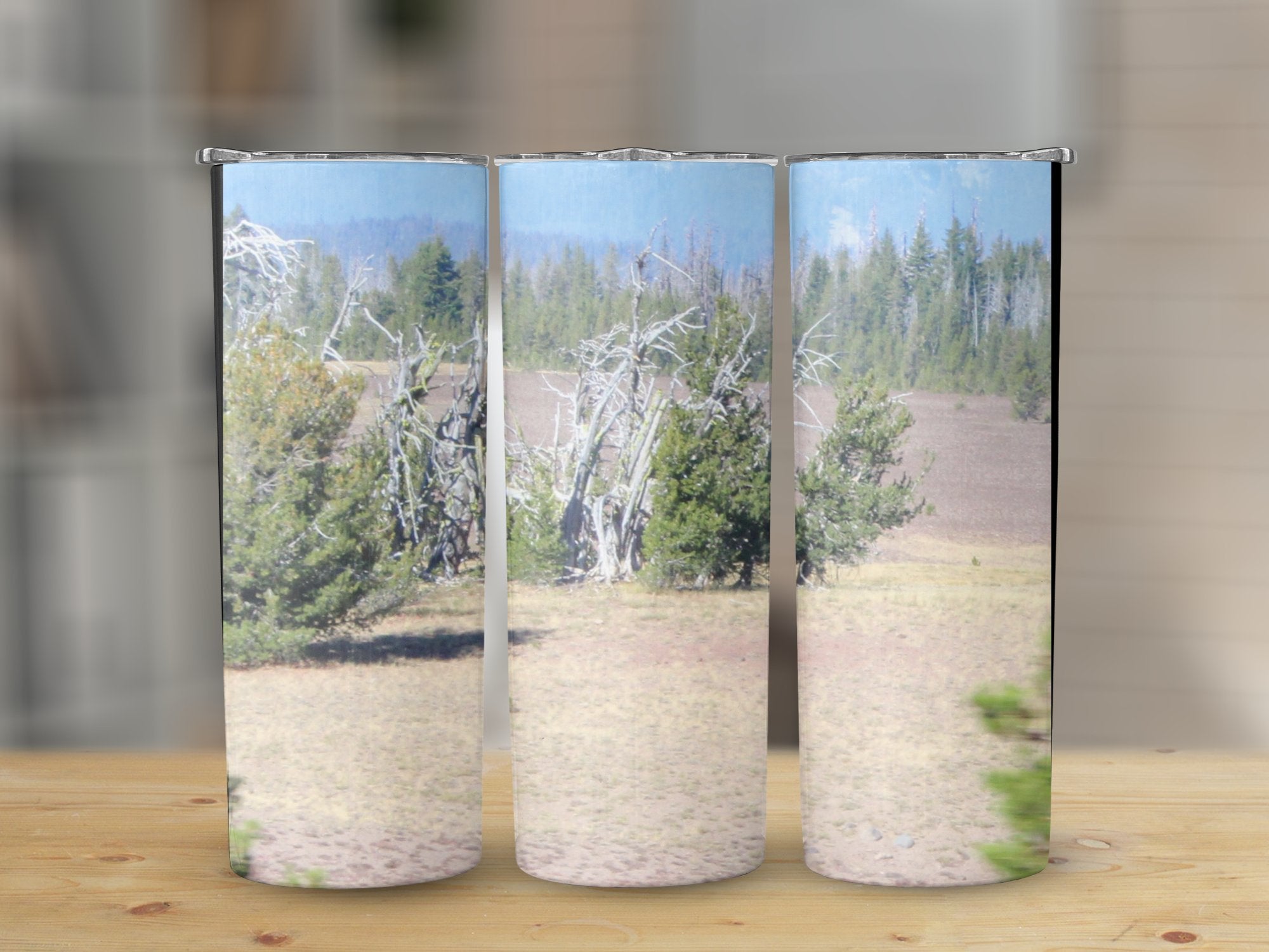 487403e4-7f50-4e5b-a4b2-3e5c6ae8119c