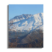 48a01cce-a9ca-4a4d-b8ac-ca95f3f6e53b