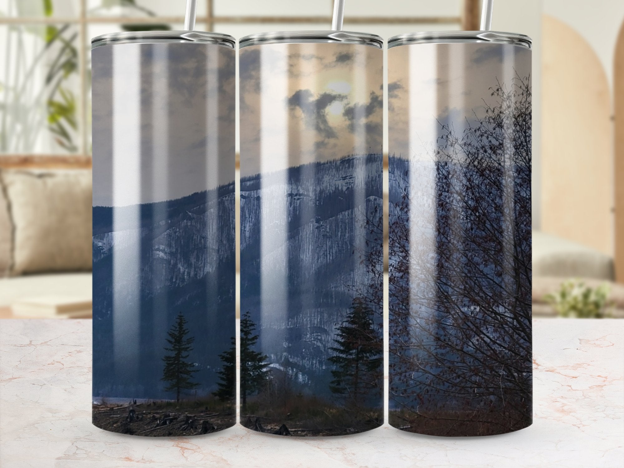 48e1e5fa-433c-4532-b2ef-c5e73fe49b48