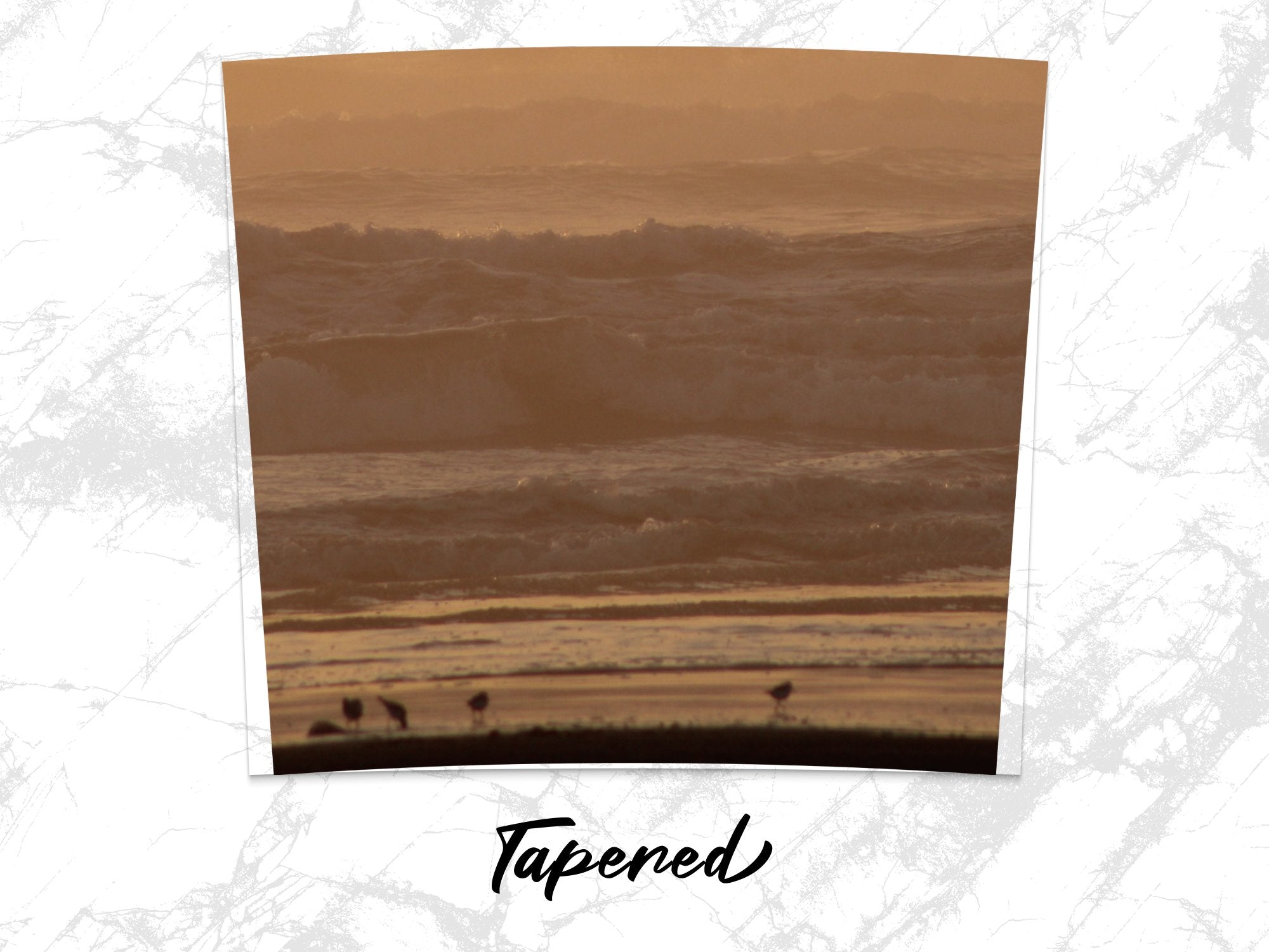 4978107e-bd46-432e-bf7e-48a2503b44b4