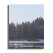 49b4eab1-0a72-4066-b29d-71f50f65dda4