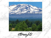 49c129c3-f163-46ed-8ce7-7f4cf2c95a93