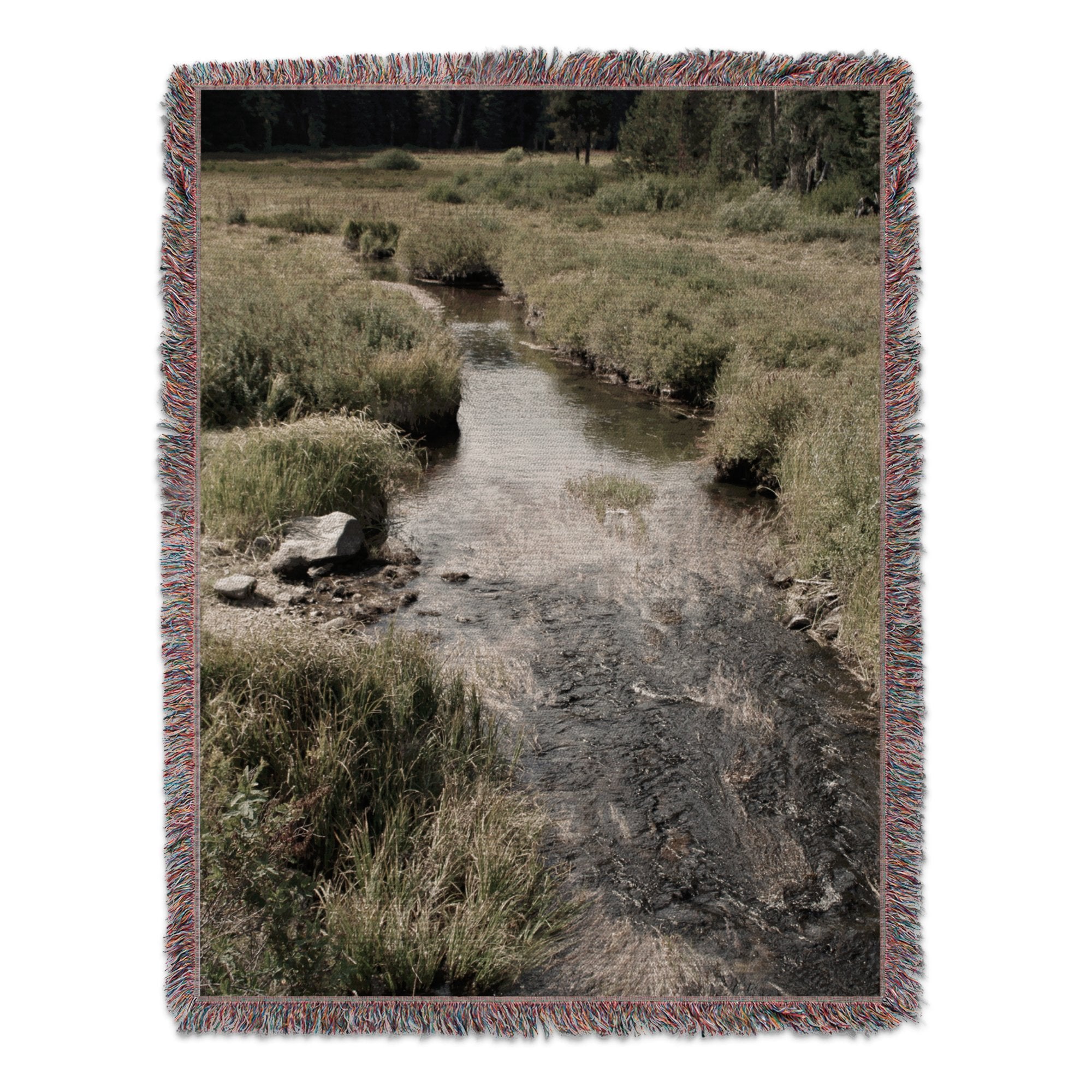 4a5c8de1-5f88-4d5a-92ed-58c1337aac3e