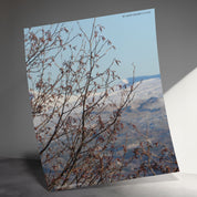 4a903a8e-b37a-4ff7-94cc-a7d6ef4b98ad