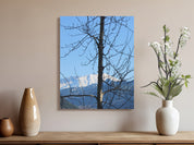 4aeb1909-5dea-436b-be99-cb7e07ed87a3