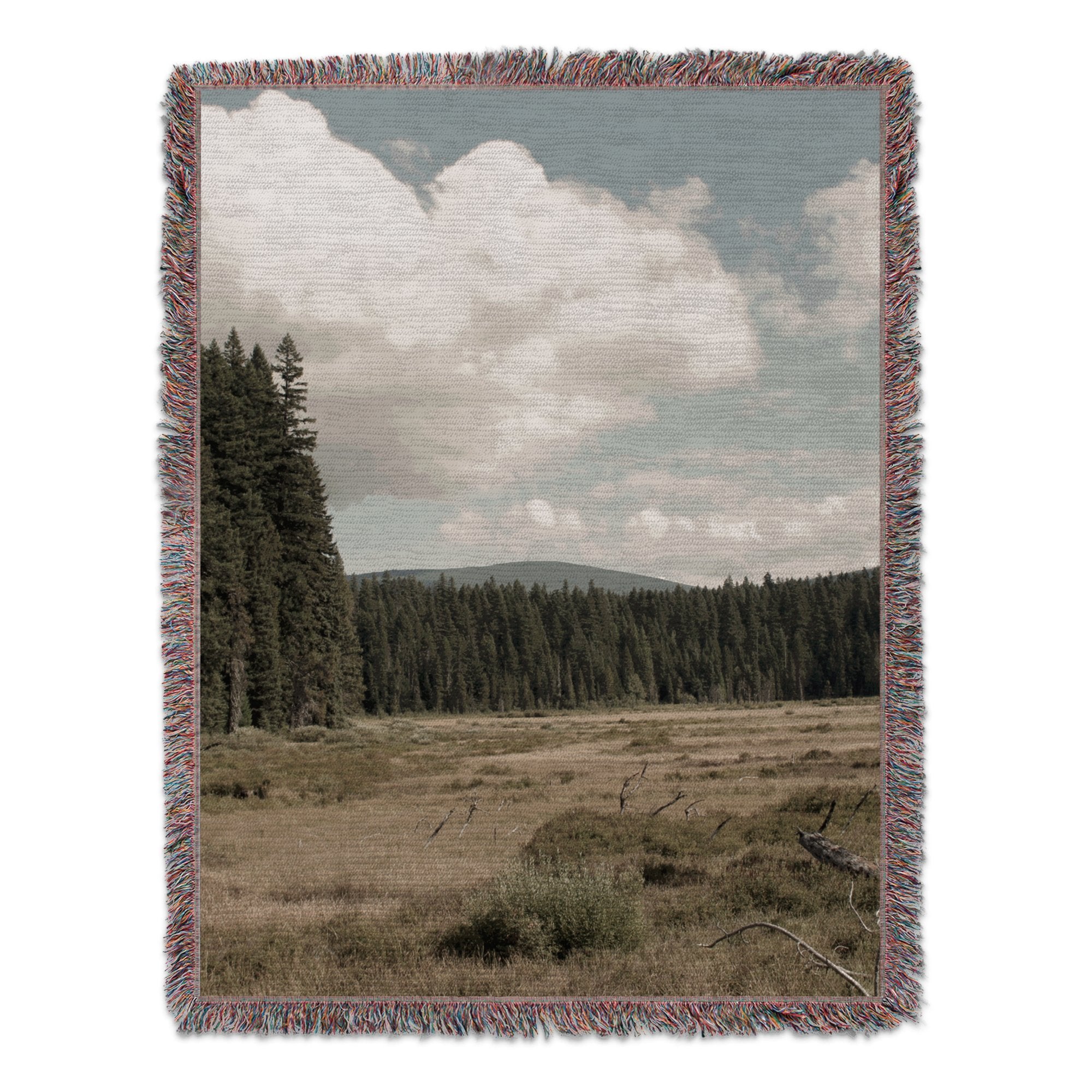 4afa8664-4e0b-4df2-9cee-df4fde147639