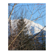 4b73c93f-16f6-4c5e-a70a-a06e03f999ee