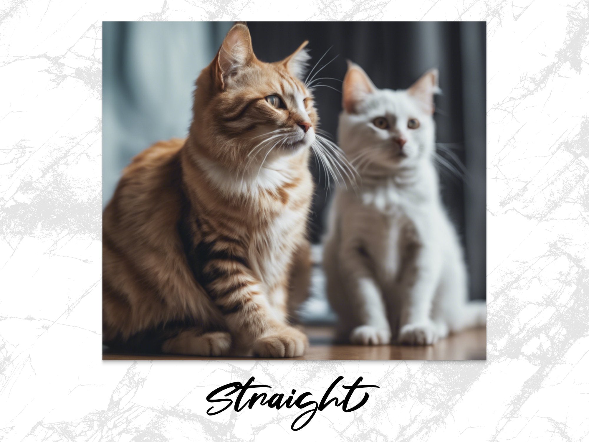 4bec0a90-46ff-4a60-b228-bc15a05b3764