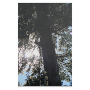 4d2d855c-8e59-4af5-8093-6b2018ea2adb