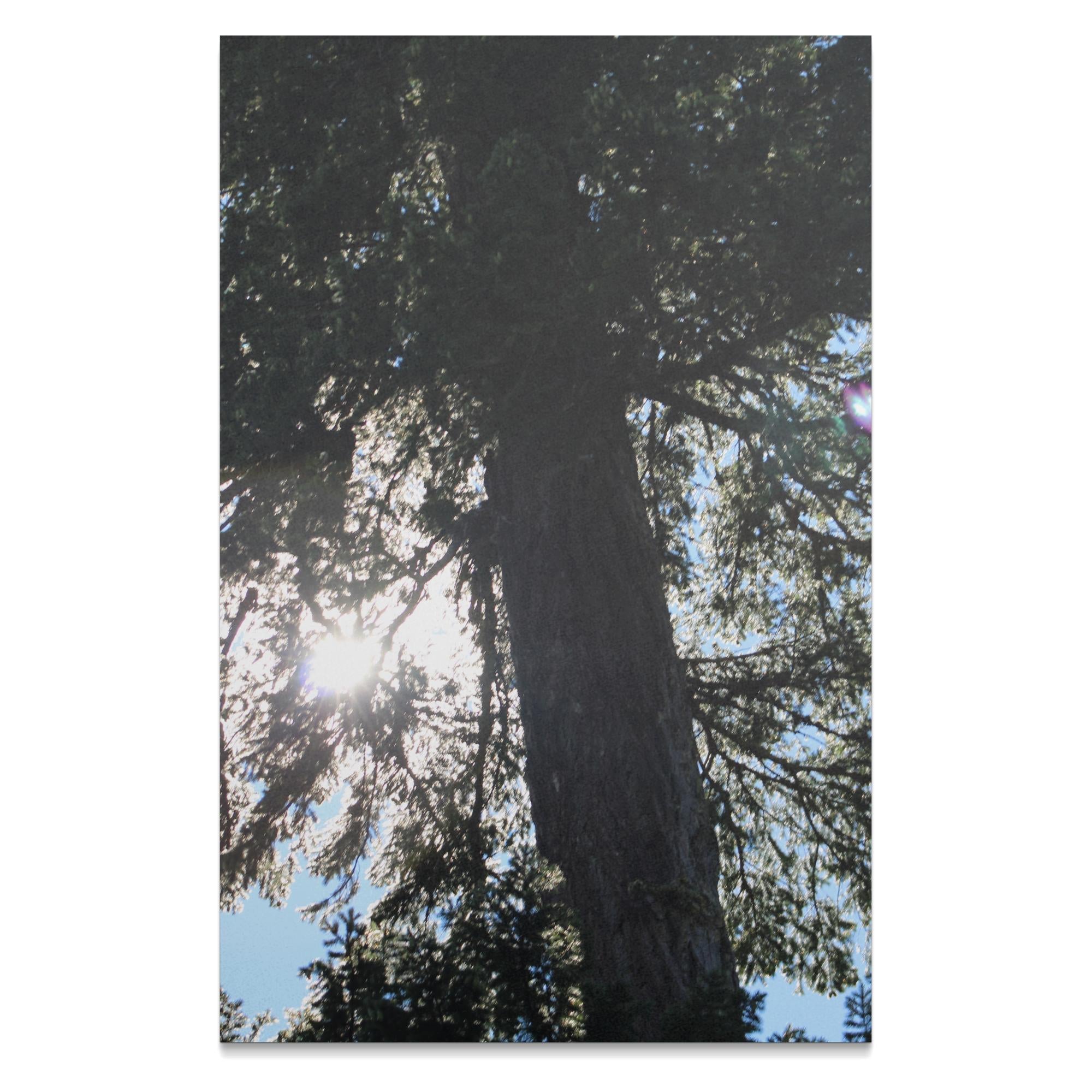 4d2d855c-8e59-4af5-8093-6b2018ea2adb