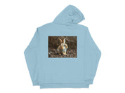 4d62dea4-e337-4ba0-9d3d-65d3785caebd