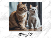 4dc12fab-9811-4eca-bd9f-bc591b3bc06d