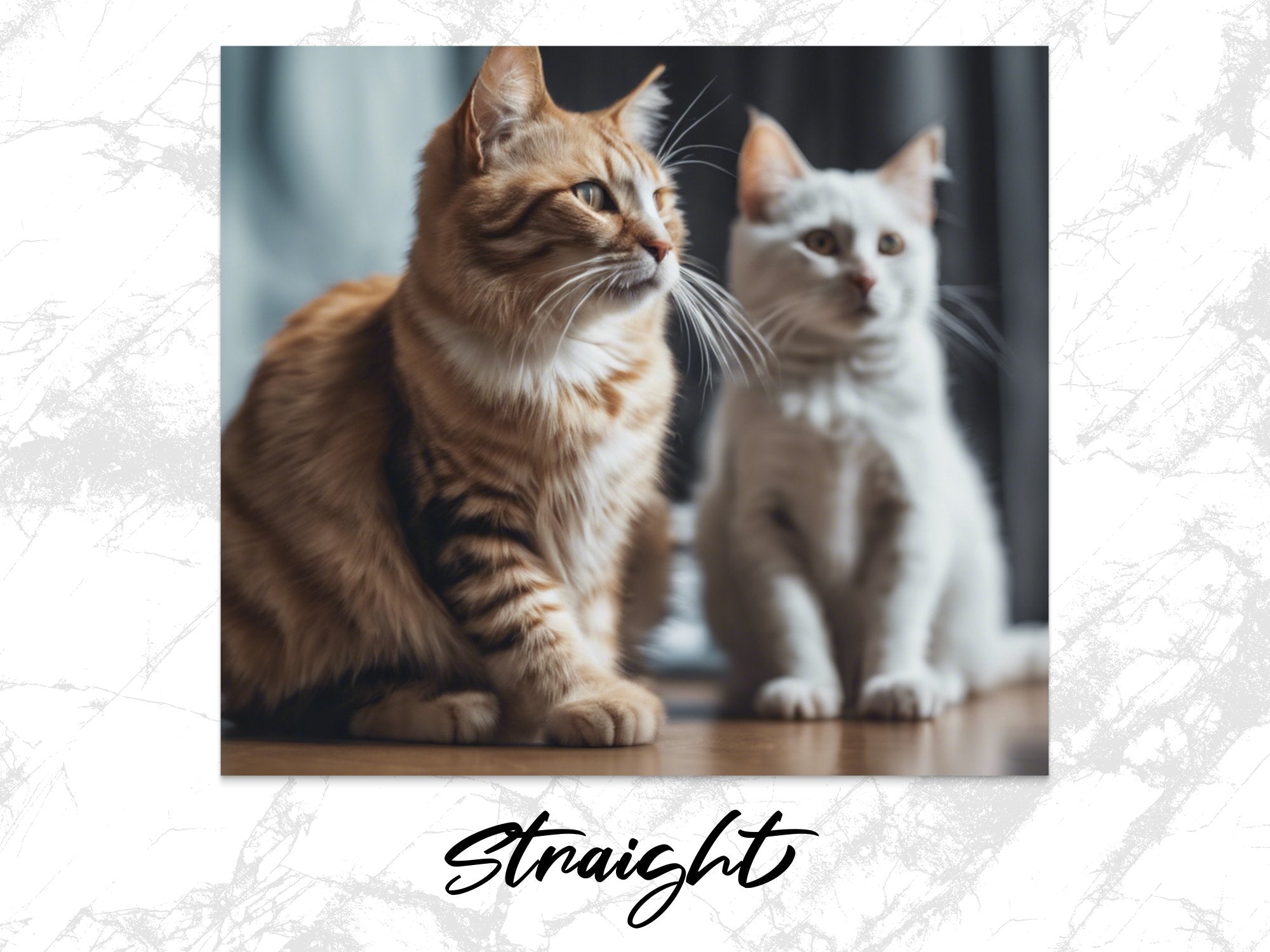 4dc12fab-9811-4eca-bd9f-bc591b3bc06d