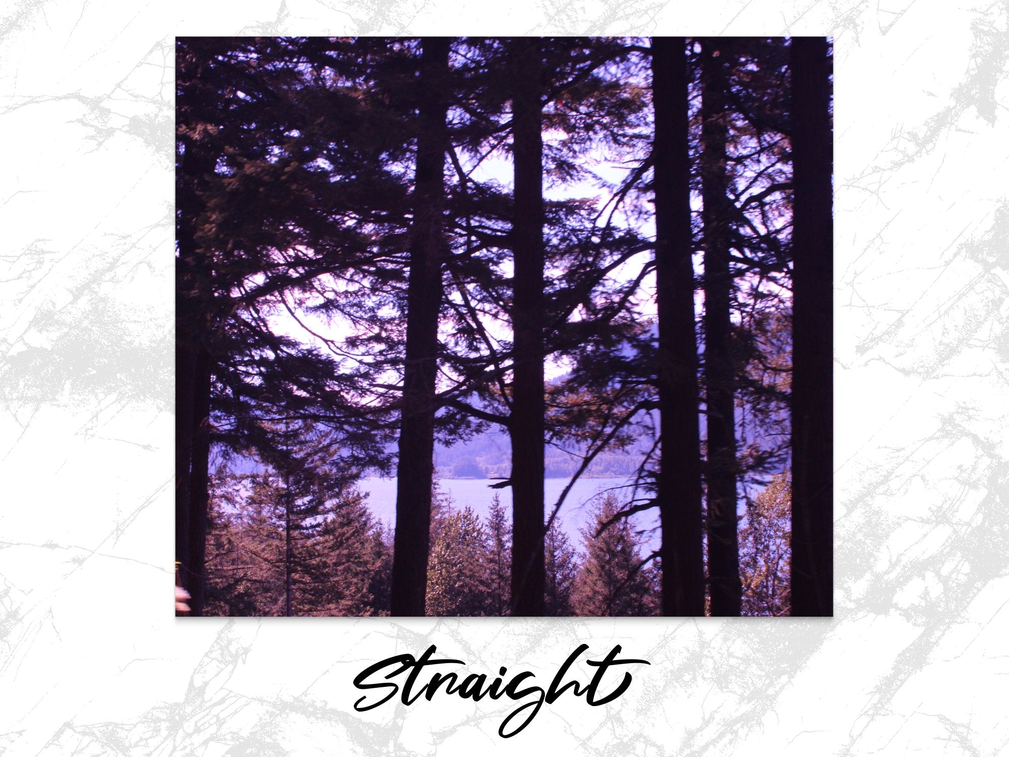 4e539da4-c03f-4d67-a384-c294e5565a50