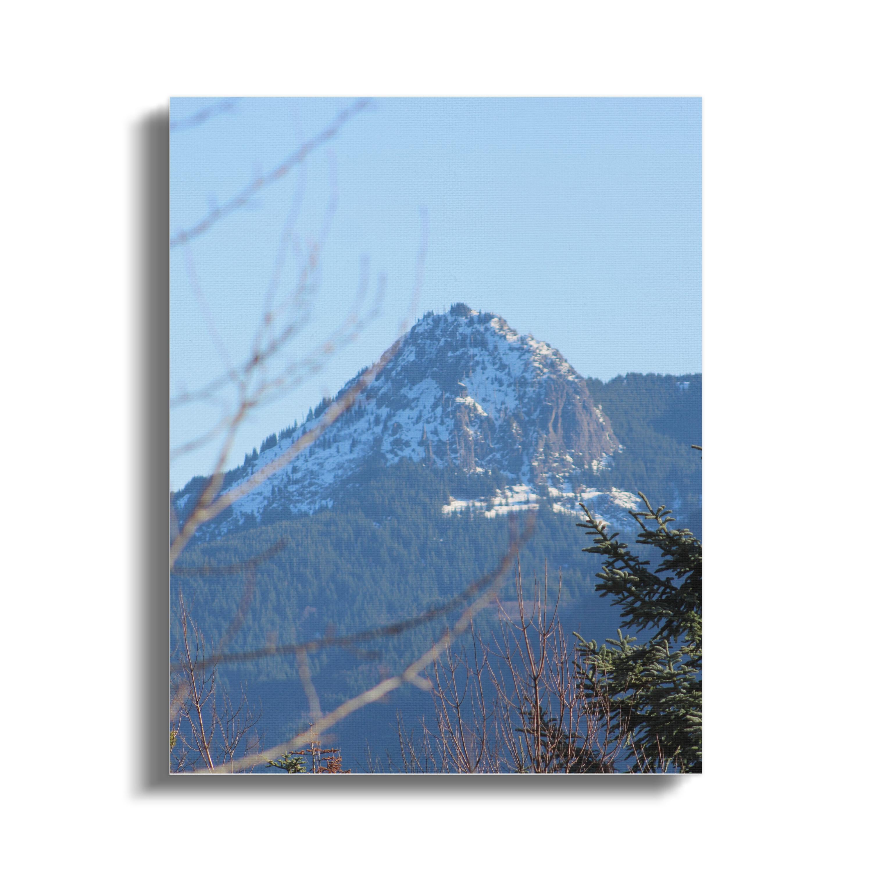 4f5a41d6-269b-44a3-9a3c-e0321b668076