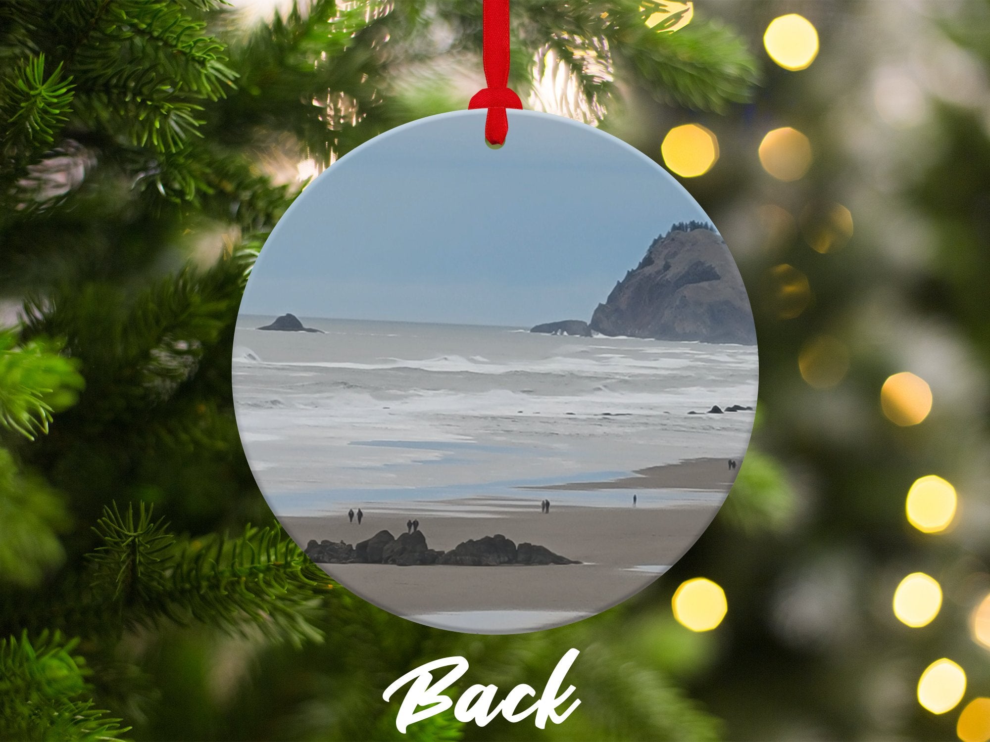 4f945495-7e20-4bfb-93e5-585febe1cbdd