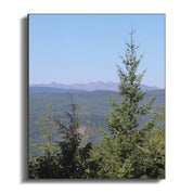 4fd6905f-3c4f-4276-8284-ca6be57897b5