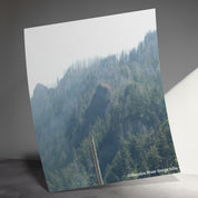 50500902-d922-425f-93a8-a6bfaefd9c2d