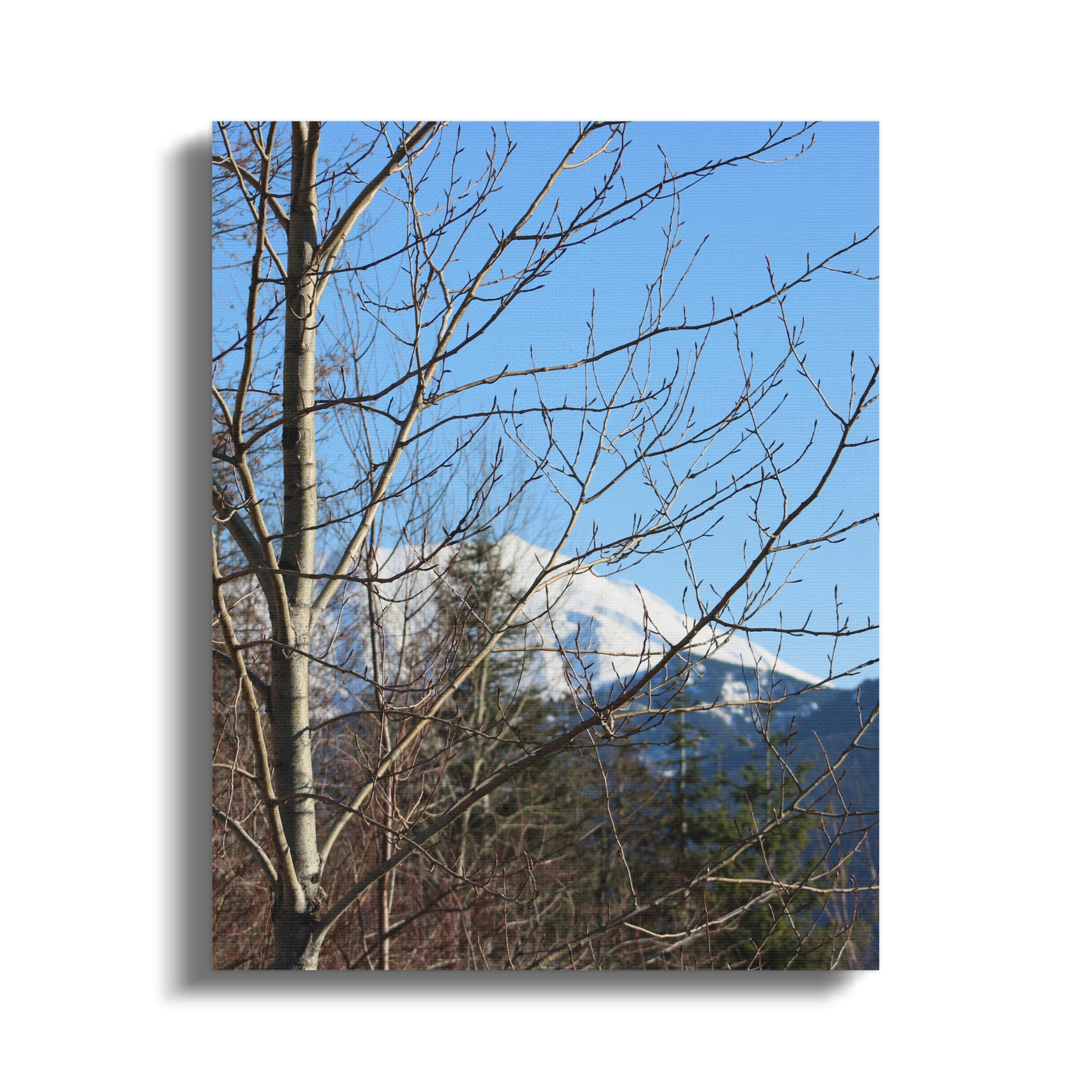 505a188d-e2ae-4712-b31d-3b83eb150d16