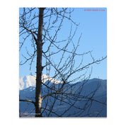 507709e0-7ce6-41bf-bdc0-8f1b043c685c