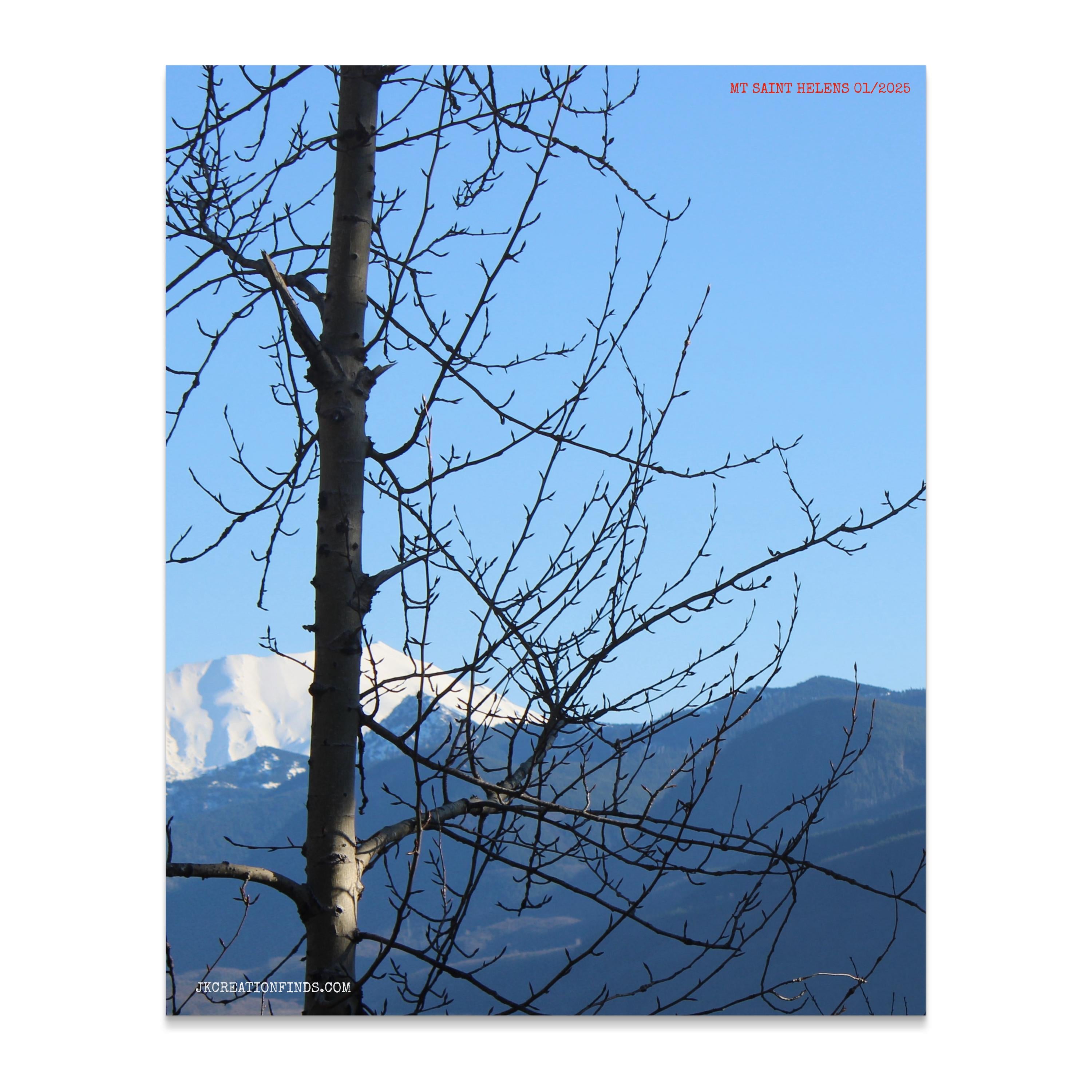 507709e0-7ce6-41bf-bdc0-8f1b043c685c