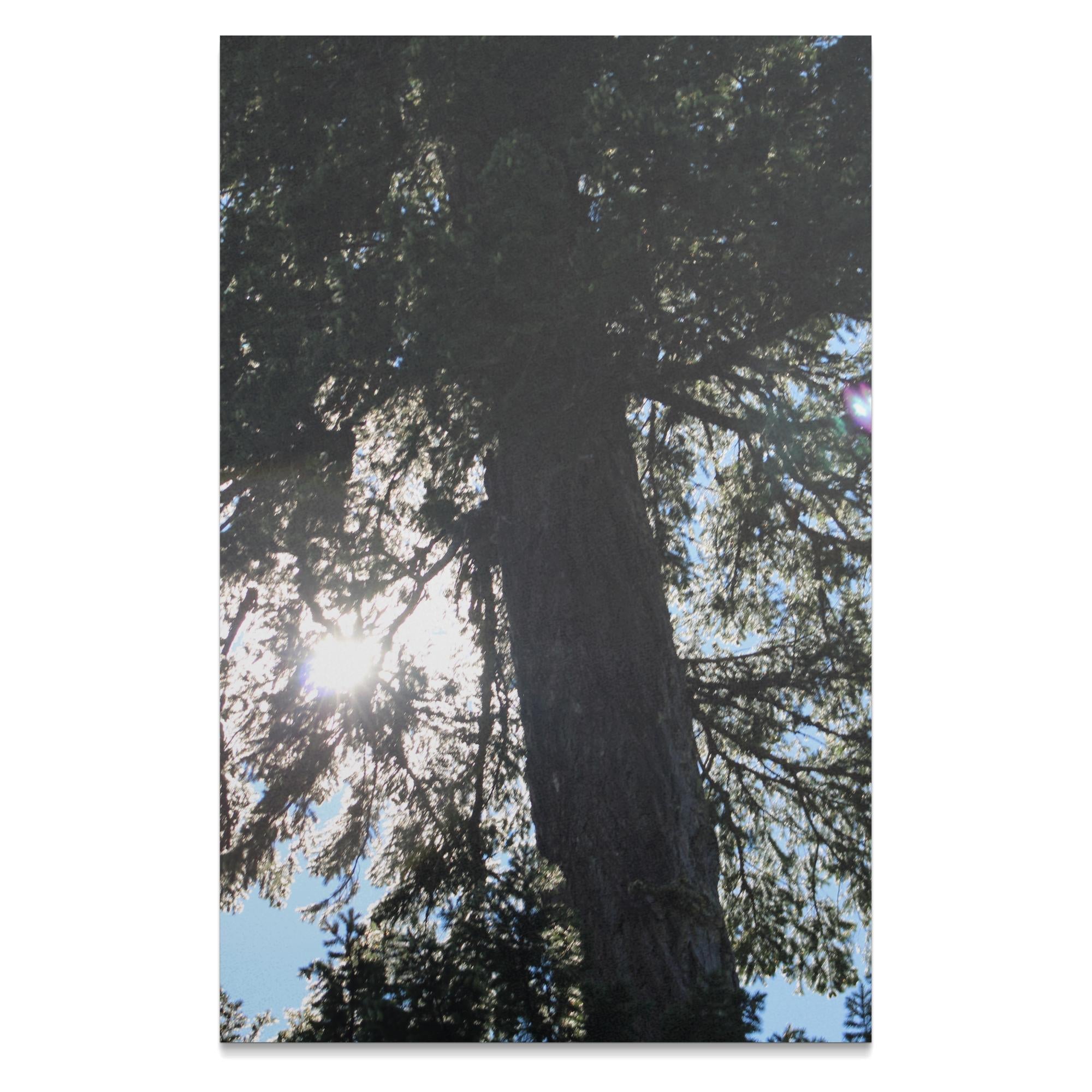 50d8dd65-c95d-4b9d-942b-095a732bd88d