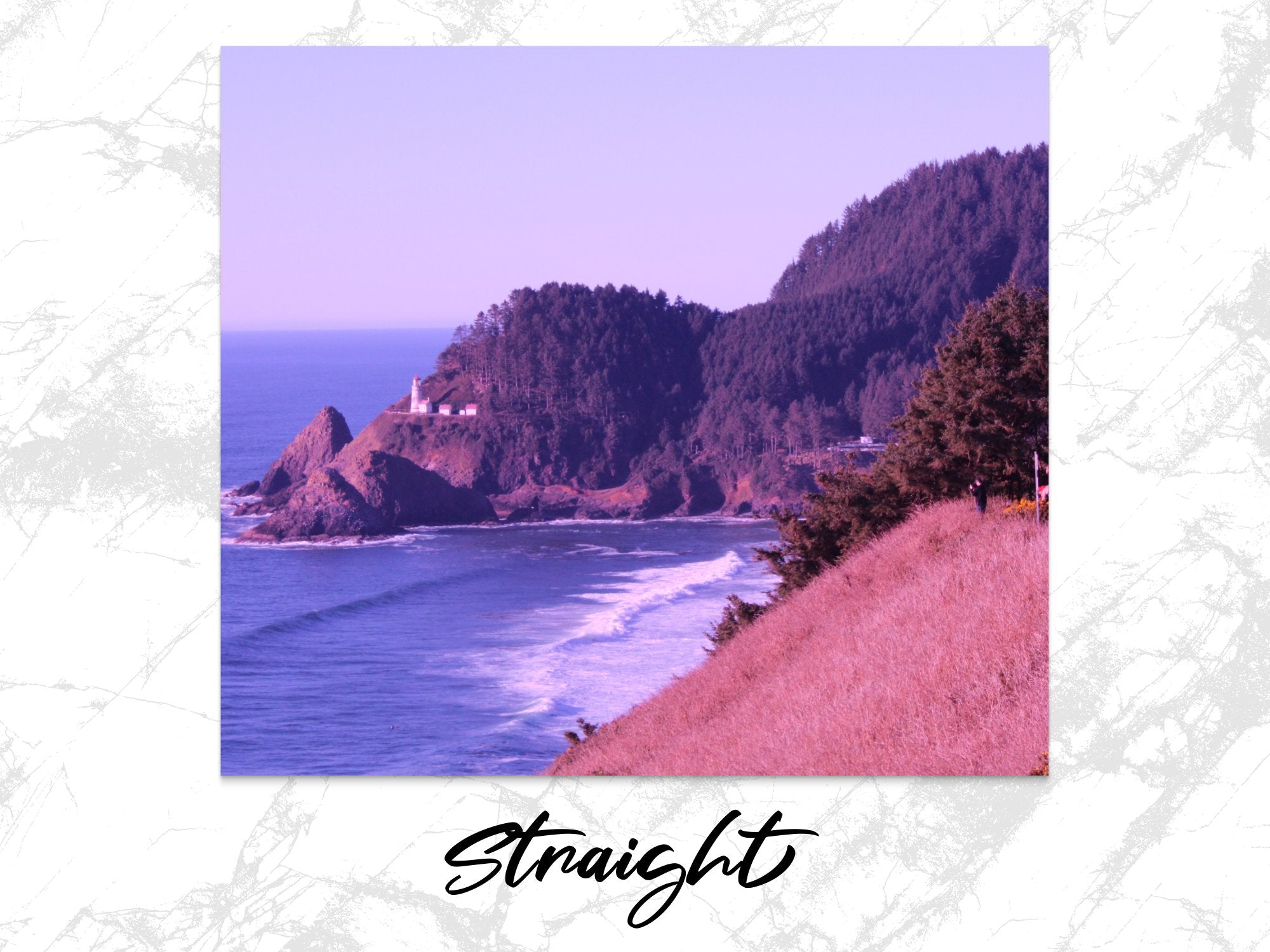 519f5670-a976-4fa8-b472-8b727a418f80