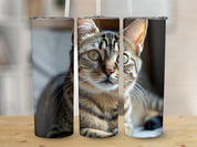 520b267e-98d1-4bd6-9b6f-2196d95d754e