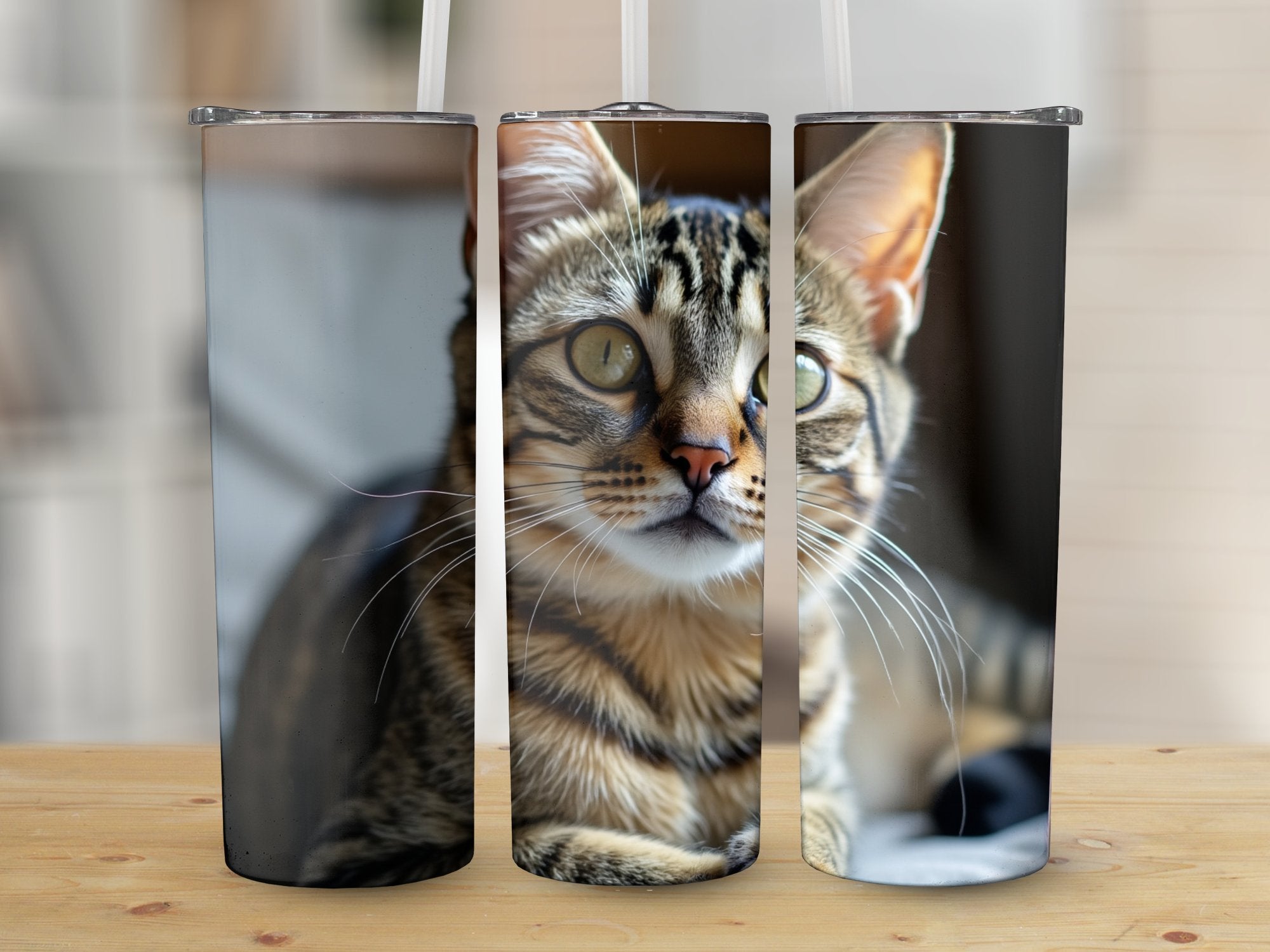 520b267e-98d1-4bd6-9b6f-2196d95d754e